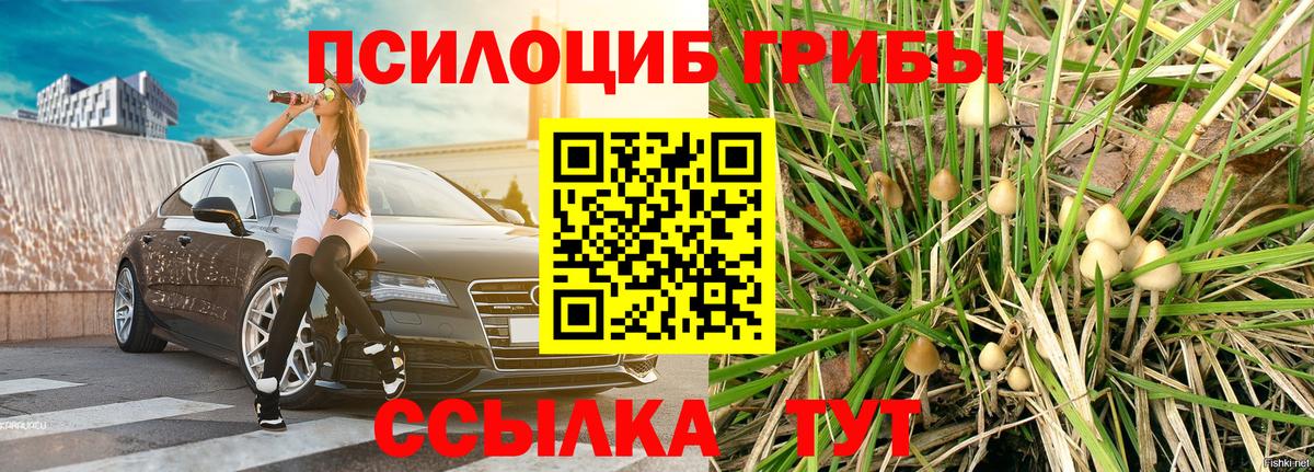 Галлюциногенные грибы Psilocybe Южно-Сахалинск