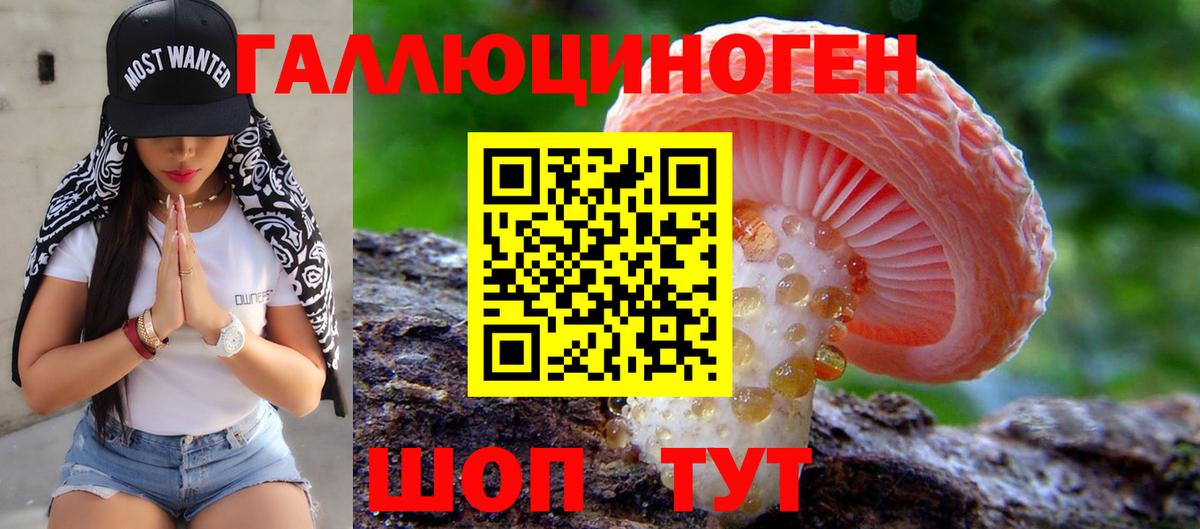 Южно-Сахалинск  закладка  Вход с VPN  Псилоцибиновые грибы GOLDEN TEACHER 